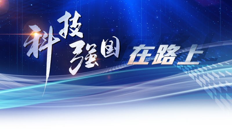 性能测试指标的选择至关重要，常见的测试指标包括：