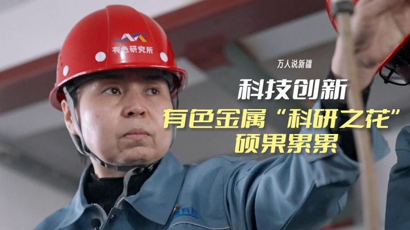 智能客服系统：如何选择合适的批发价格**